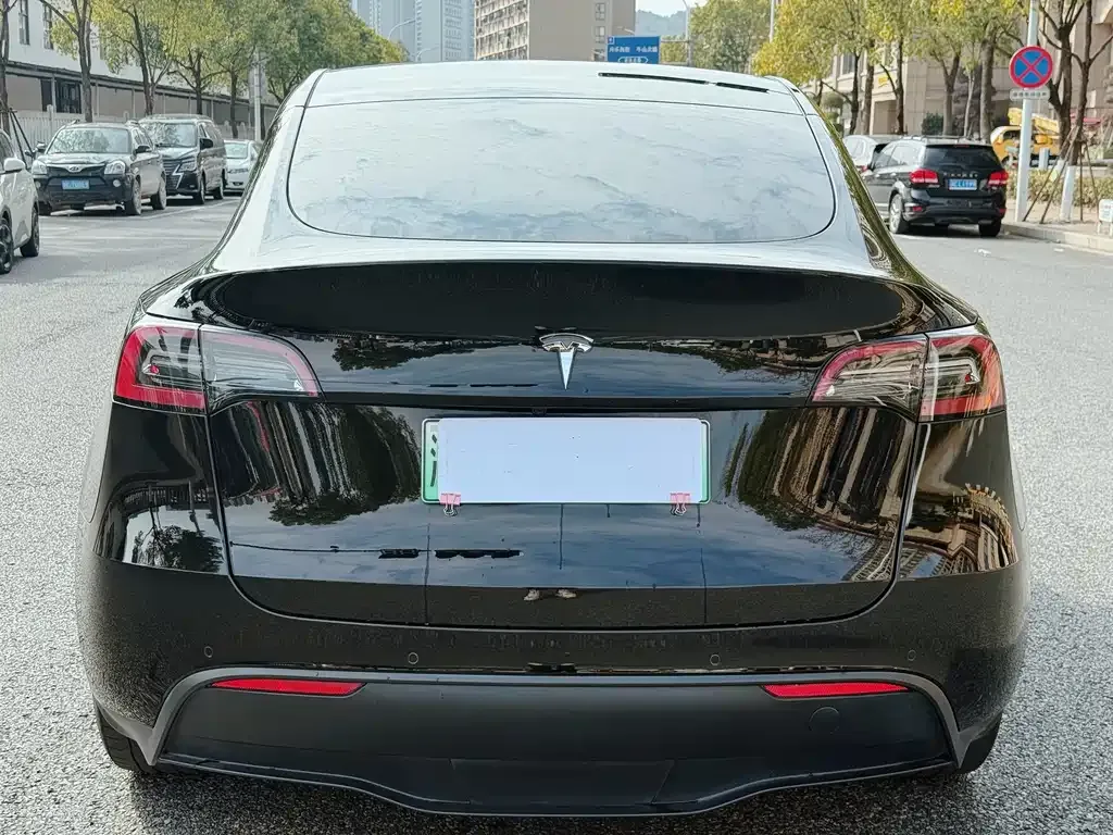 Tesla Model Y 2021 из CN, фото 4