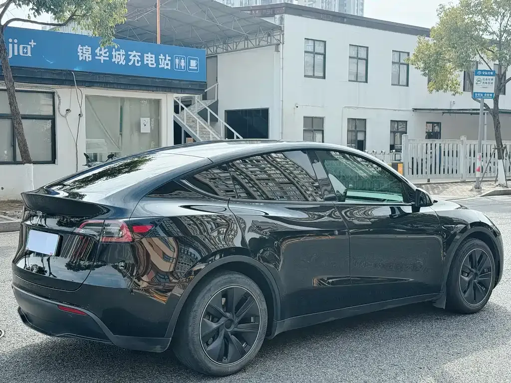 Tesla Model Y 2021 из CN, фото 5