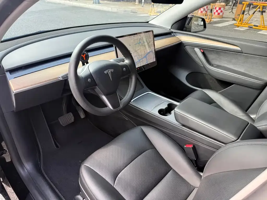 Tesla Model Y 2021 из CN, фото 6