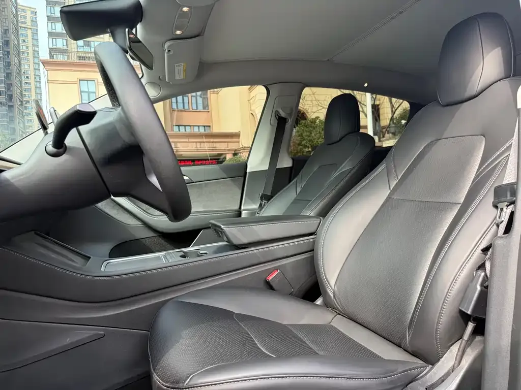 Tesla Model Y 2021 из CN, фото 3