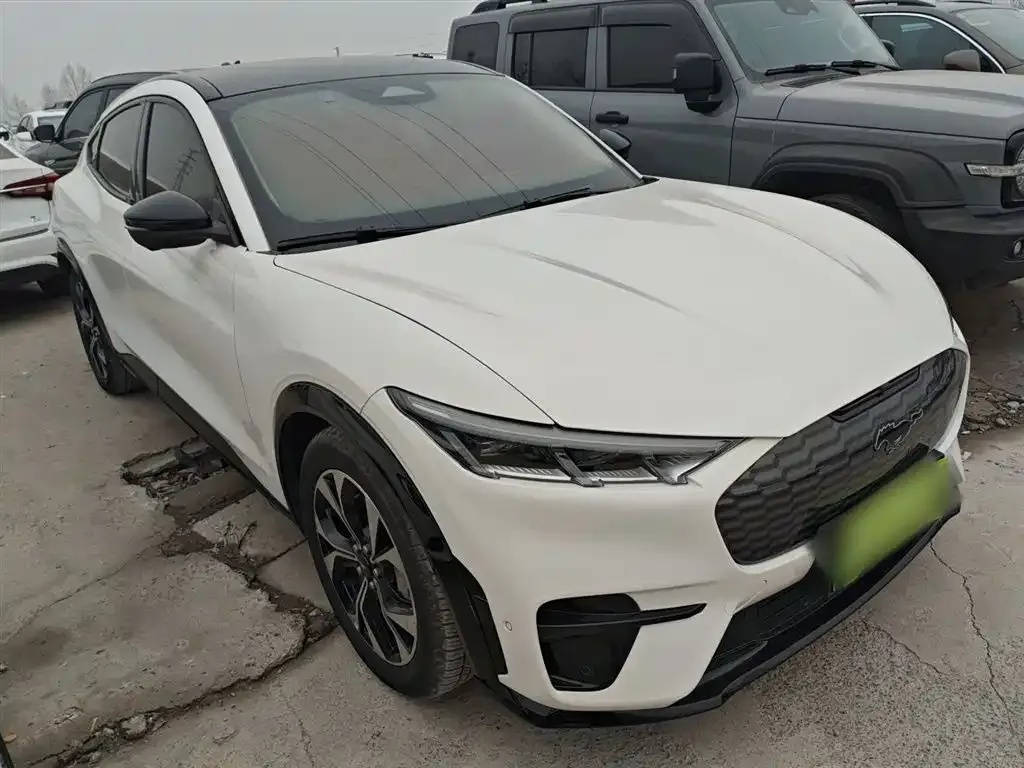 Ford Mustang Mach-E 2022 из CN, фото 4