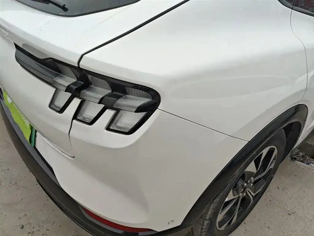 Ford Mustang Mach-E 2022 из CN, фото 2