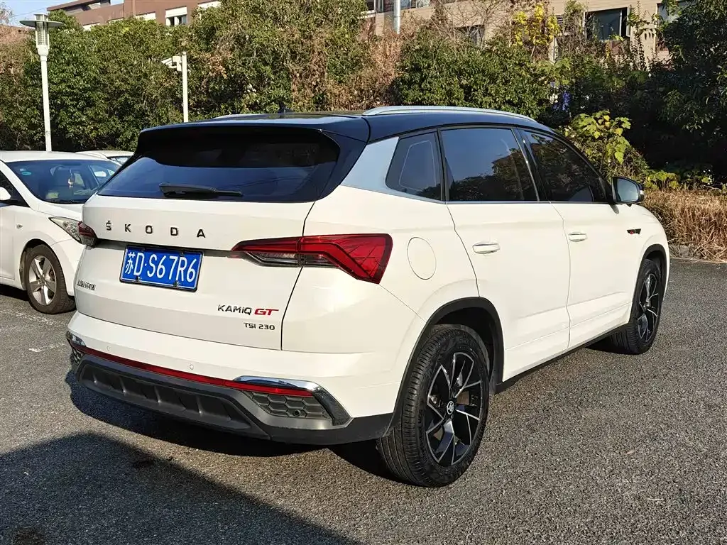 Skoda Kamiq 2021 из CN, фото 10