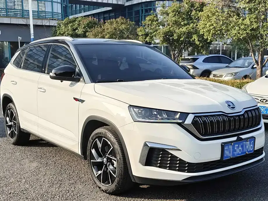 Skoda Kamiq 2021 из CN, фото 3