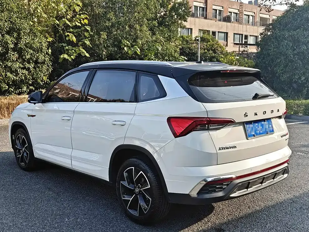 Skoda Kamiq 2021 из CN, фото 6