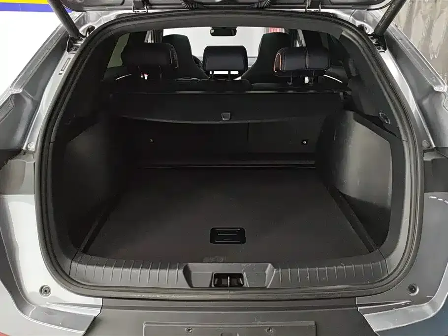 BYD PLUS New Energy 2022 из CN, фото 2