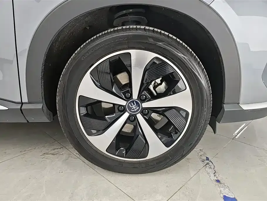BYD PLUS New Energy 2022 из CN, фото 4