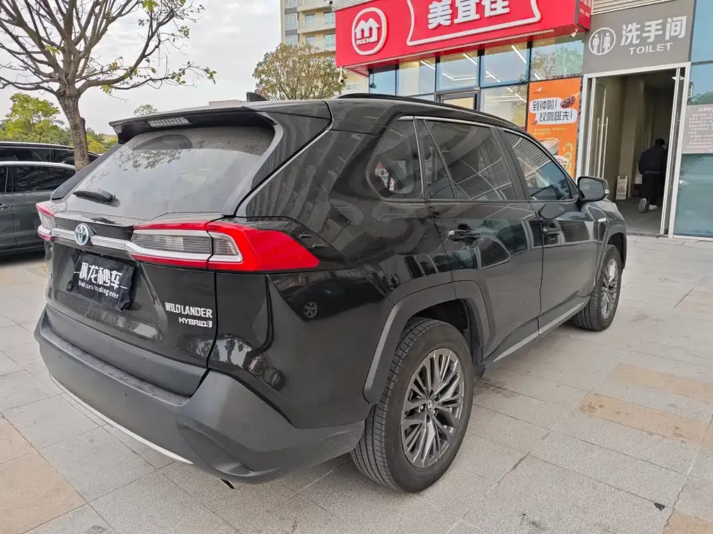 Toyota Wildlander 2024 из CN, фото 9