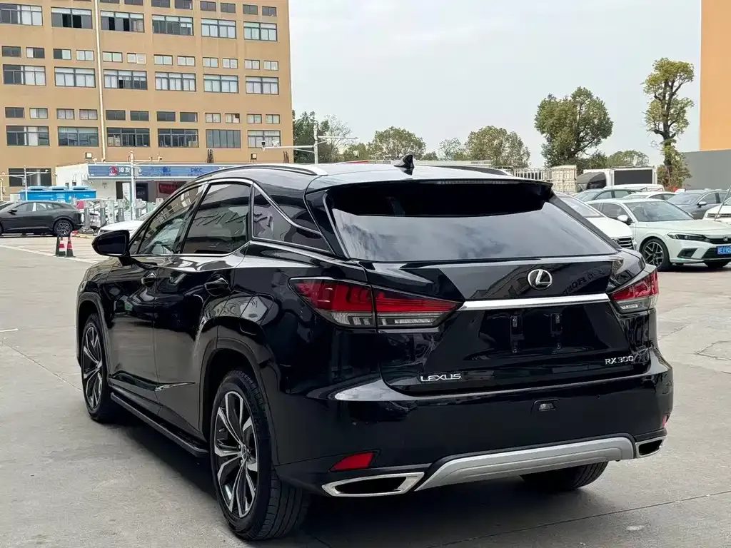 Lexus RX 2022 из CN, фото 8