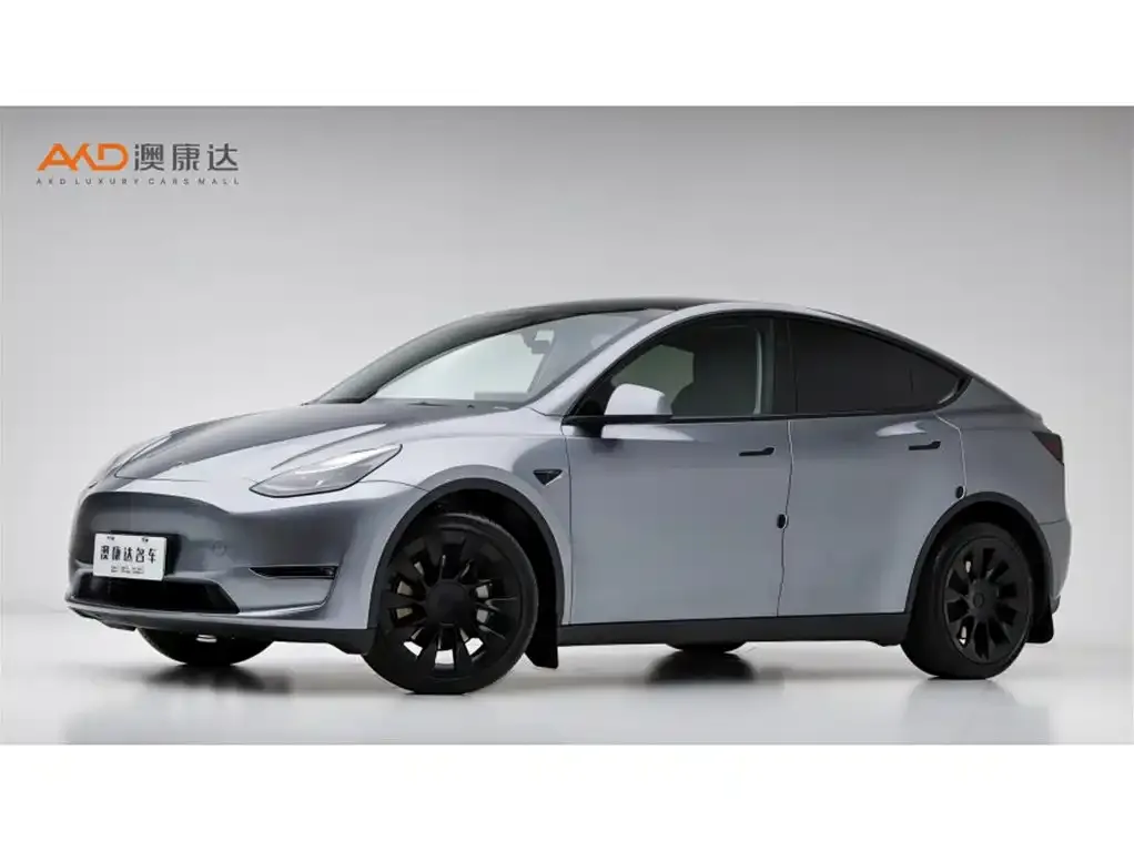 Tesla Model Y 2024 из CN, фото 1