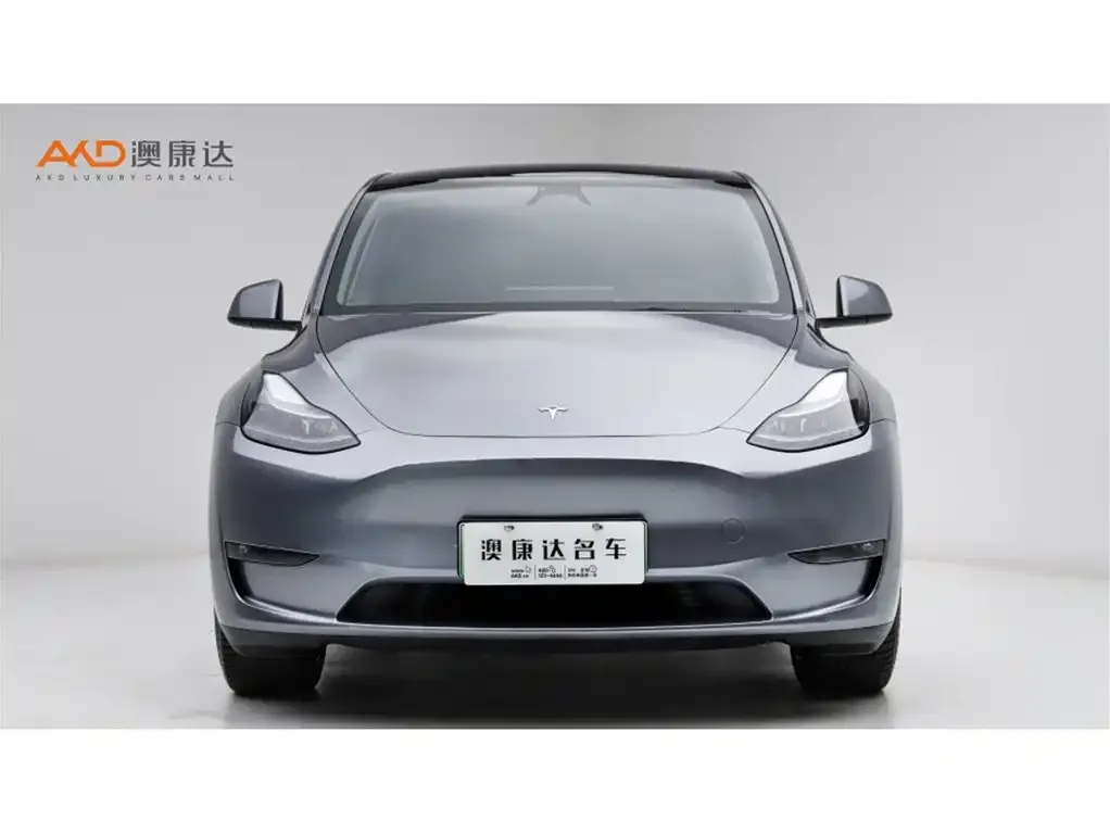 Tesla Model Y 2024 из CN, фото 2