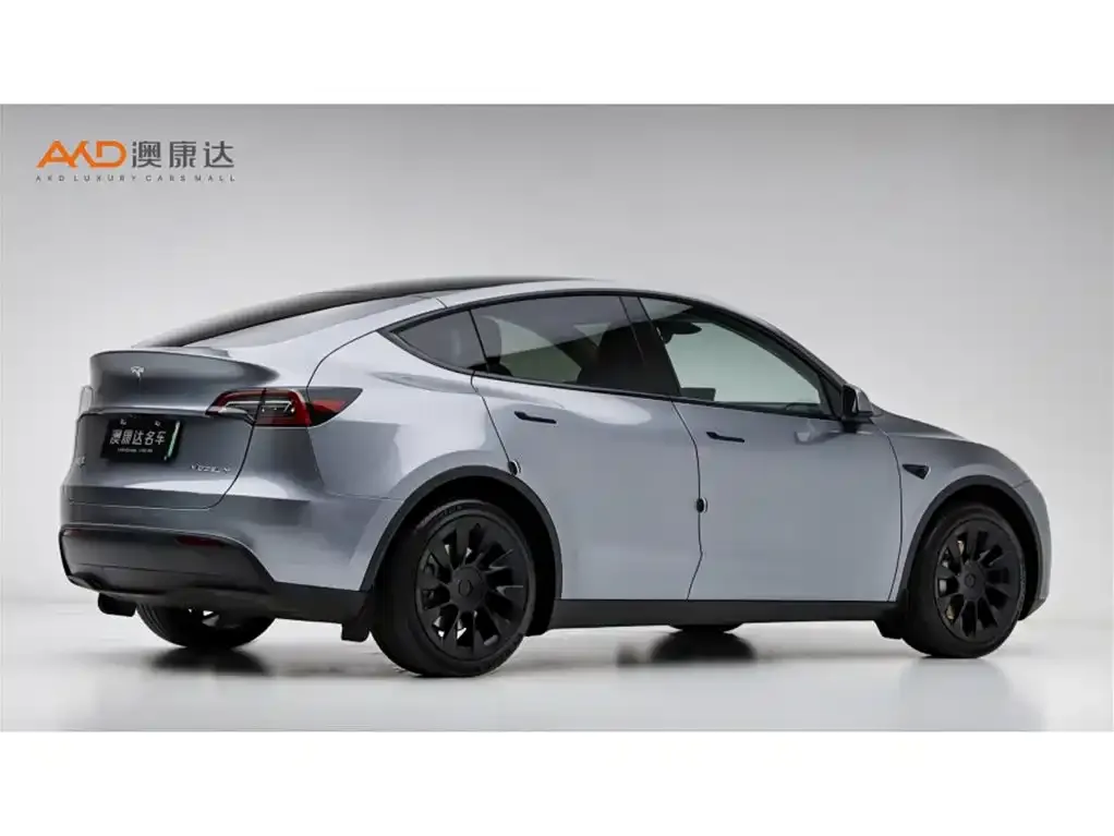 Tesla Model Y 2024 из CN, фото 8