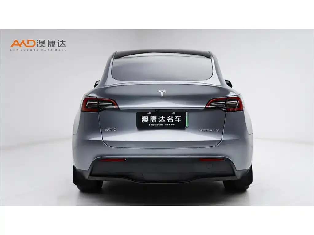 Tesla Model Y 2024 из CN, фото 6