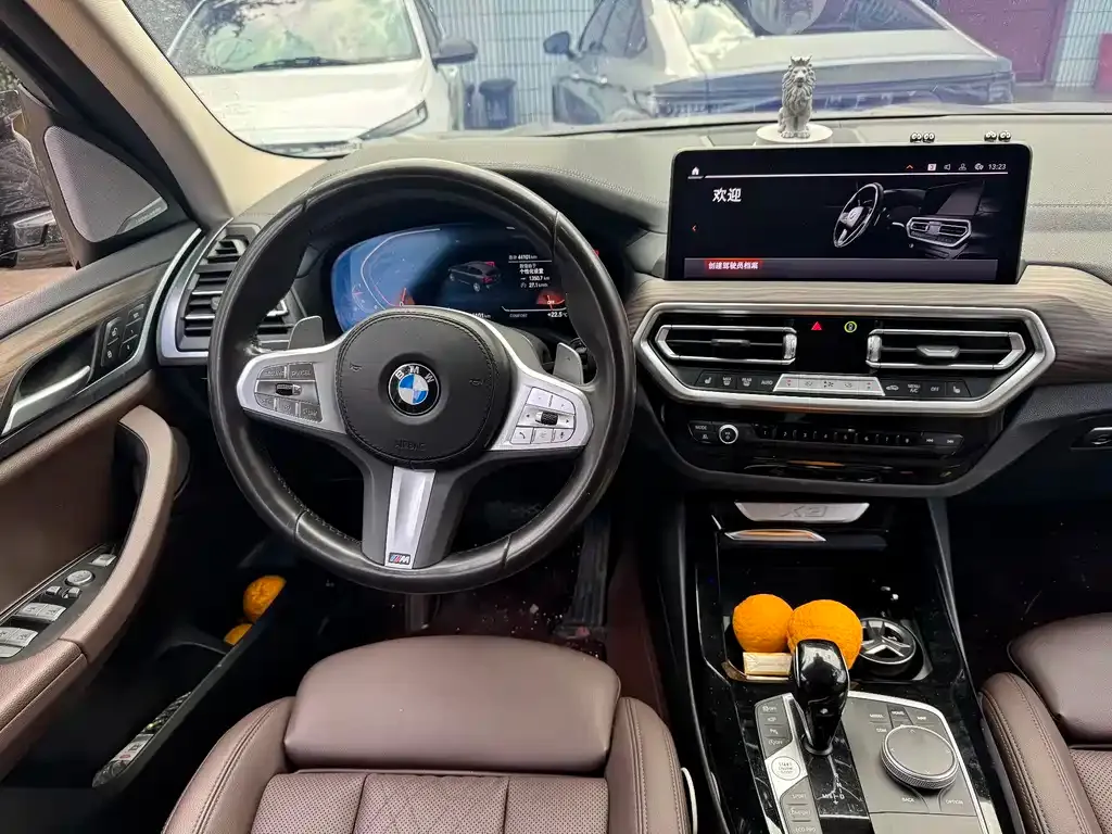 BMW X3 2023 из CN, фото 8