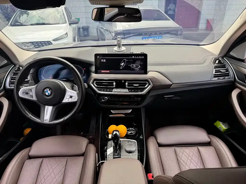 BMW X3 2023 из CN, фото 10