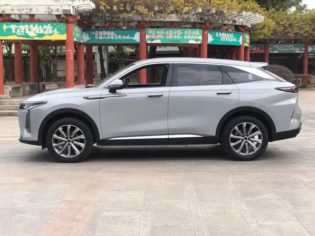 Exeed Yaoguang 2023 из CN, фото 4