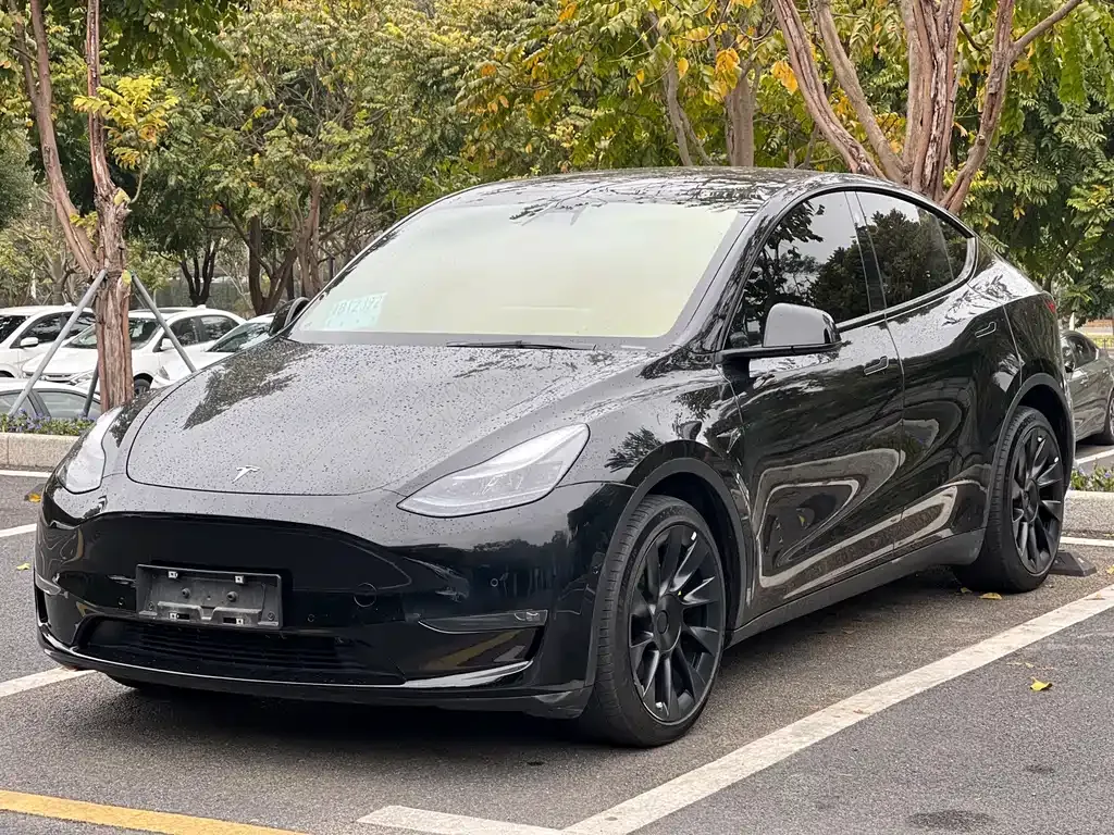 Tesla Model Y 2022 из CN, фото 1