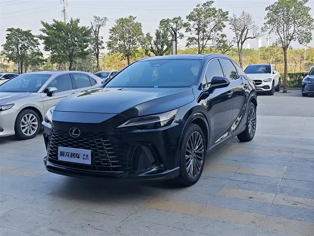 Lexus RX 2024 из CN, фото 1