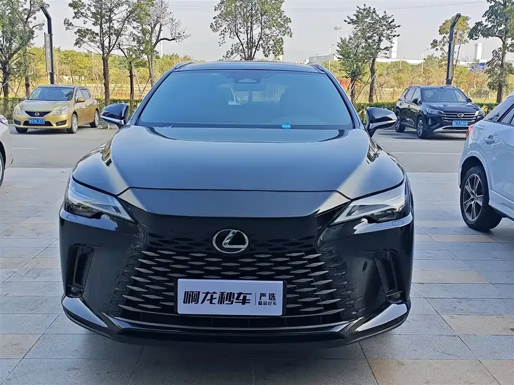 Lexus RX 2024 из CN, фото 6