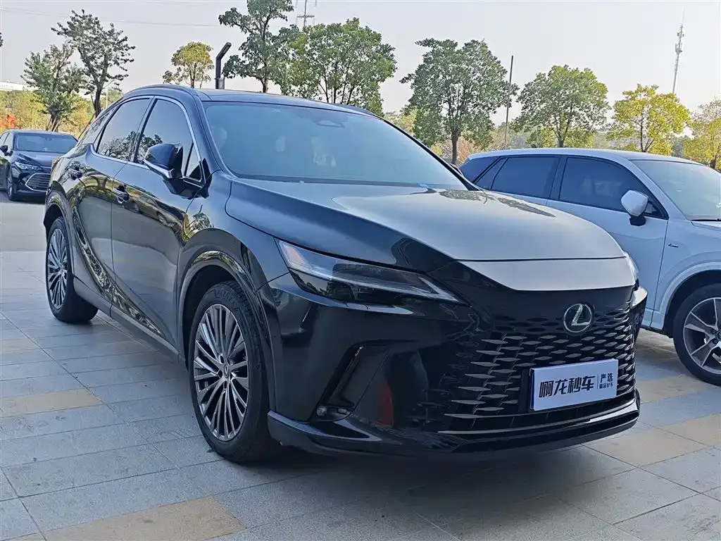 Lexus RX 2024 из CN, фото 3