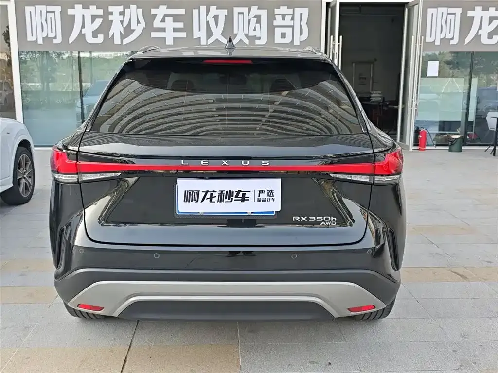 Lexus RX 2024 из CN, фото 7