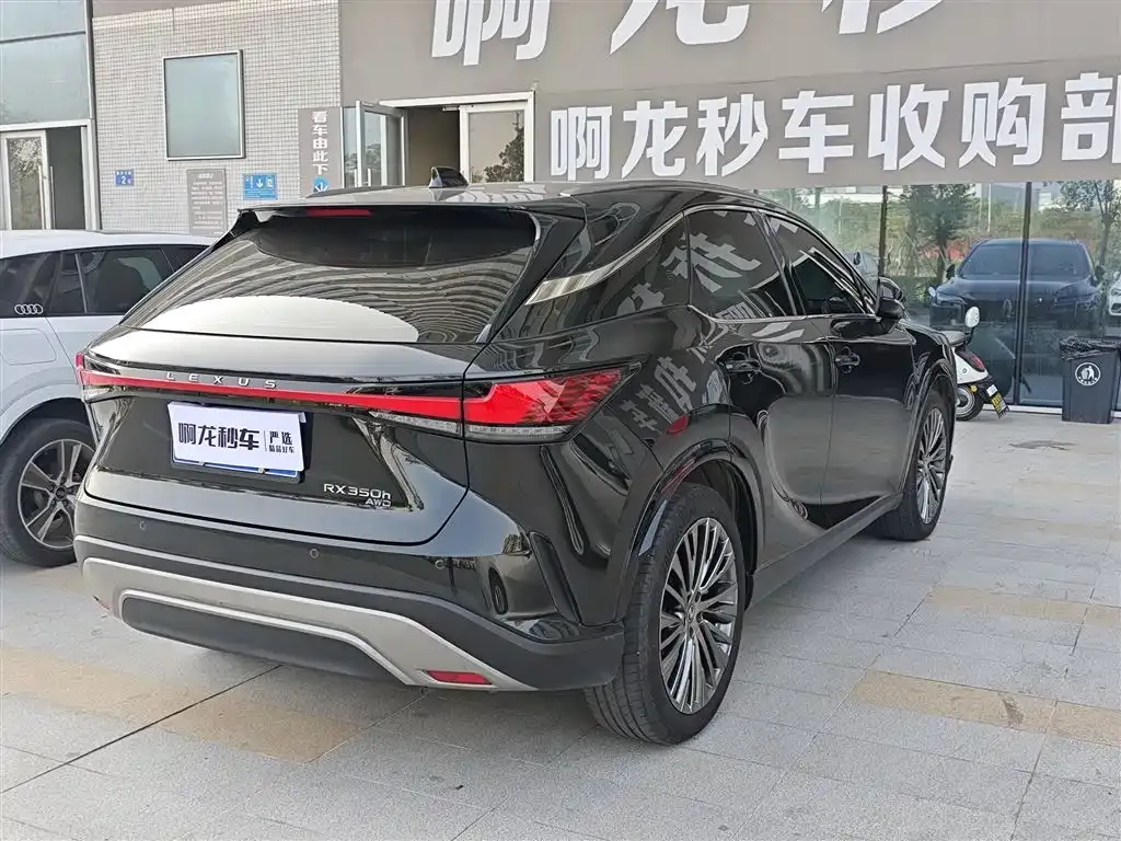 Lexus RX 2024 из CN, фото 4