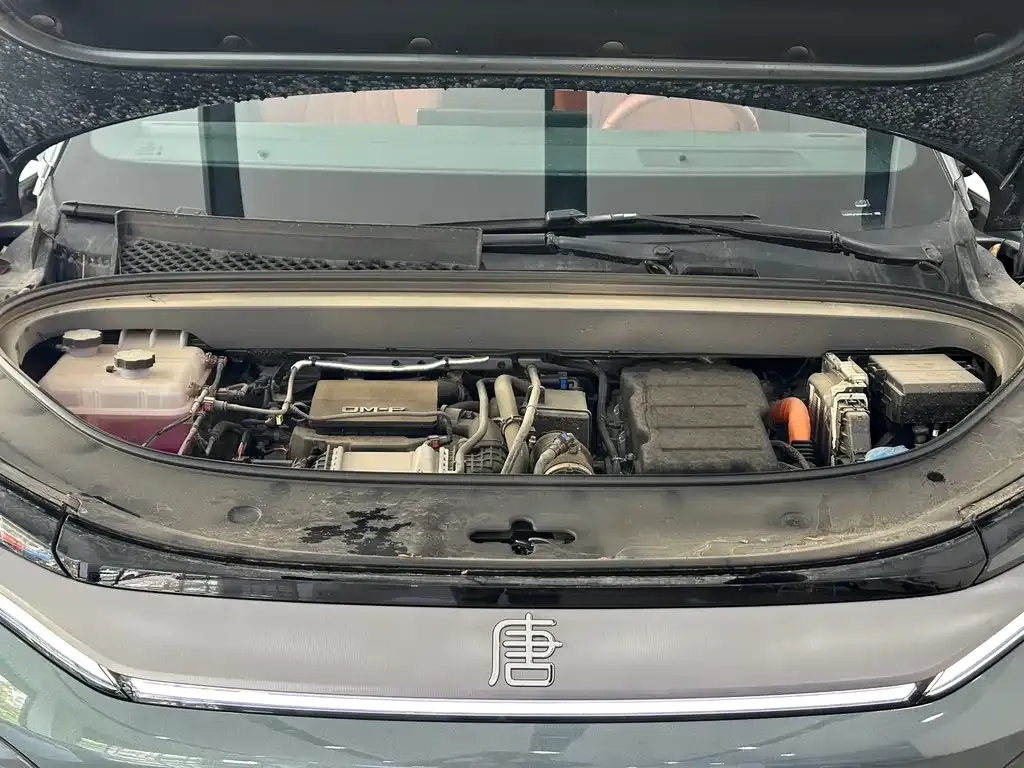 BYD Tang L 2025 из CN, фото 8