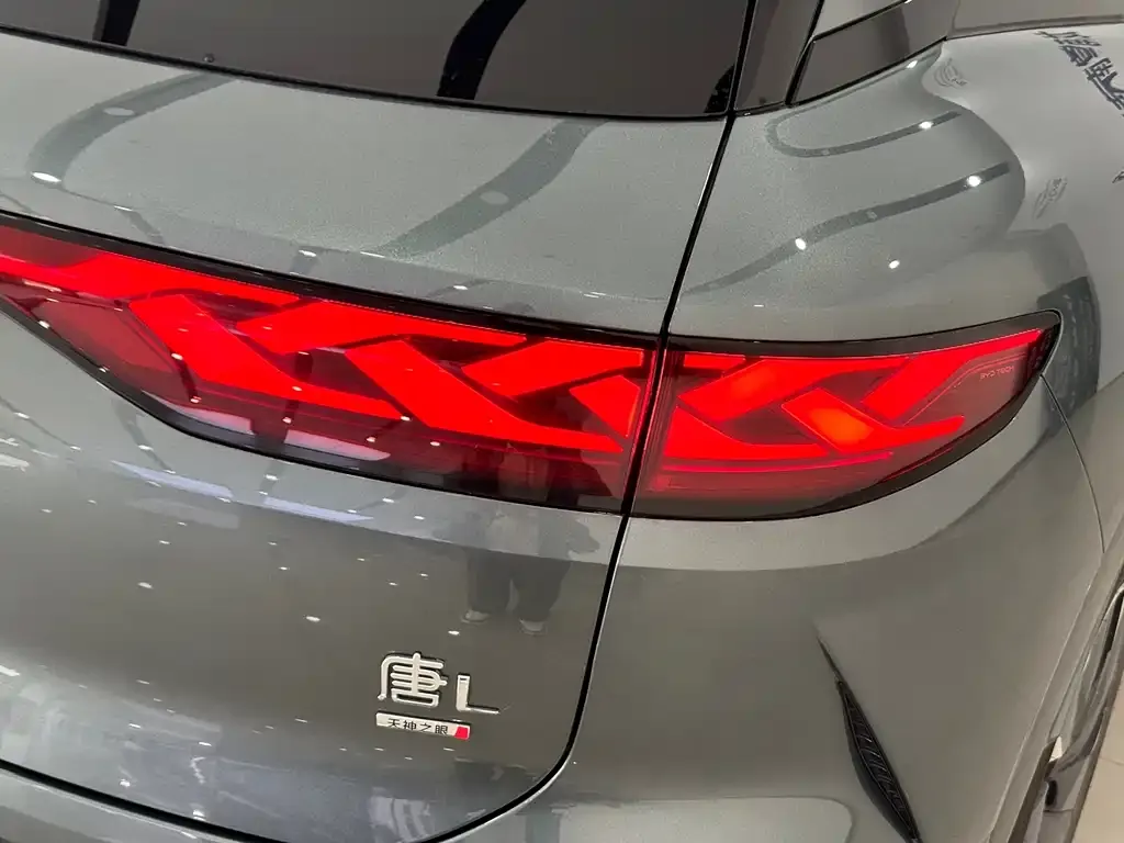 BYD Tang L 2025 из CN, фото 3