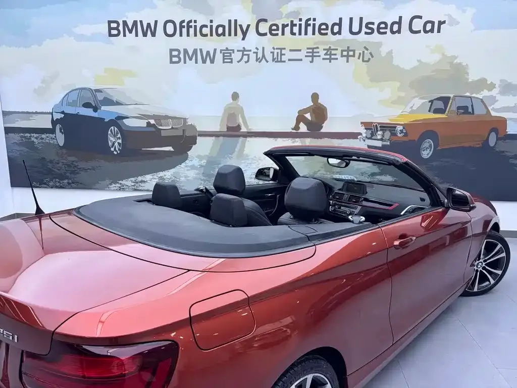 BMW 2 Series (Import) — фото 8