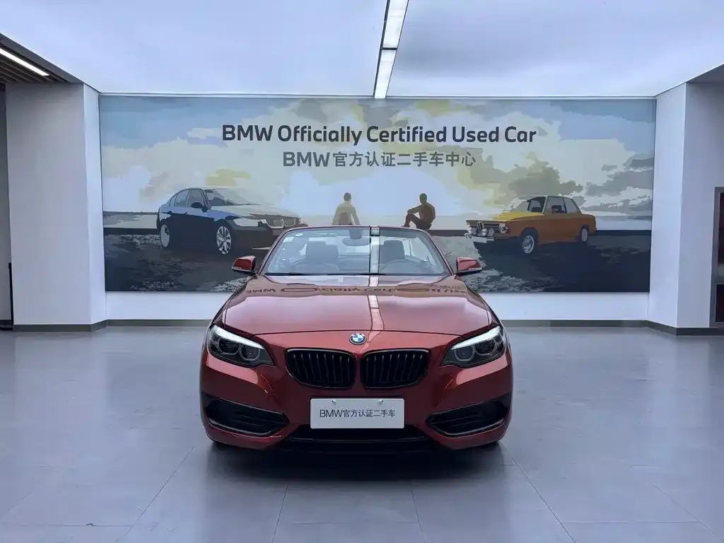 BMW 2 Series (Import) — фото 5