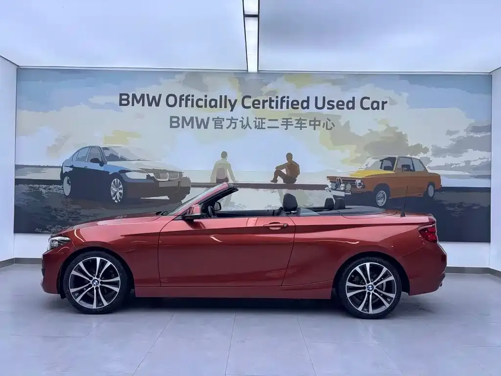 BMW 2 Series (Import) — фото 9