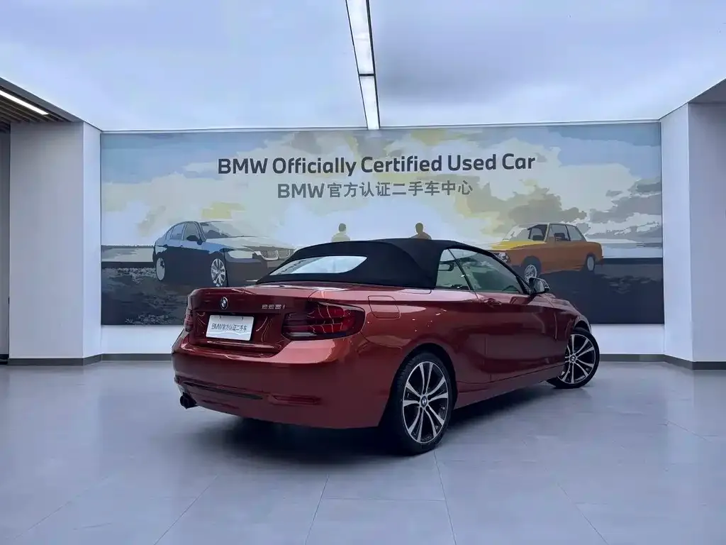 BMW 2 Series (Import) — фото 6