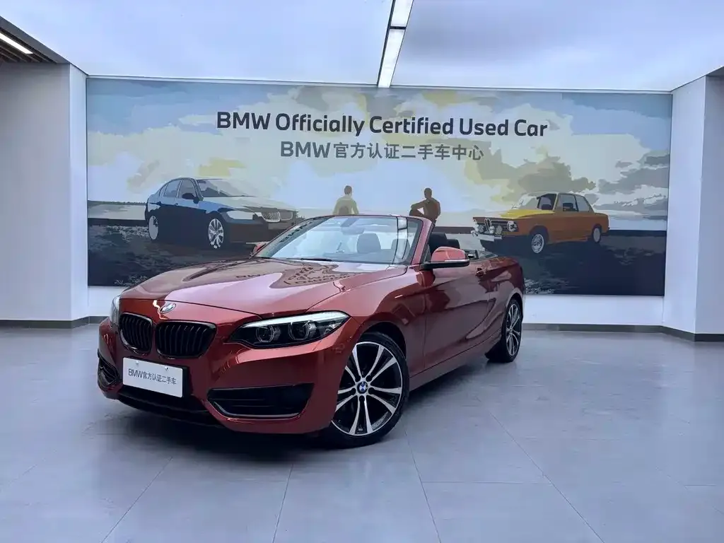BMW 2 Series (Import) — фото 4