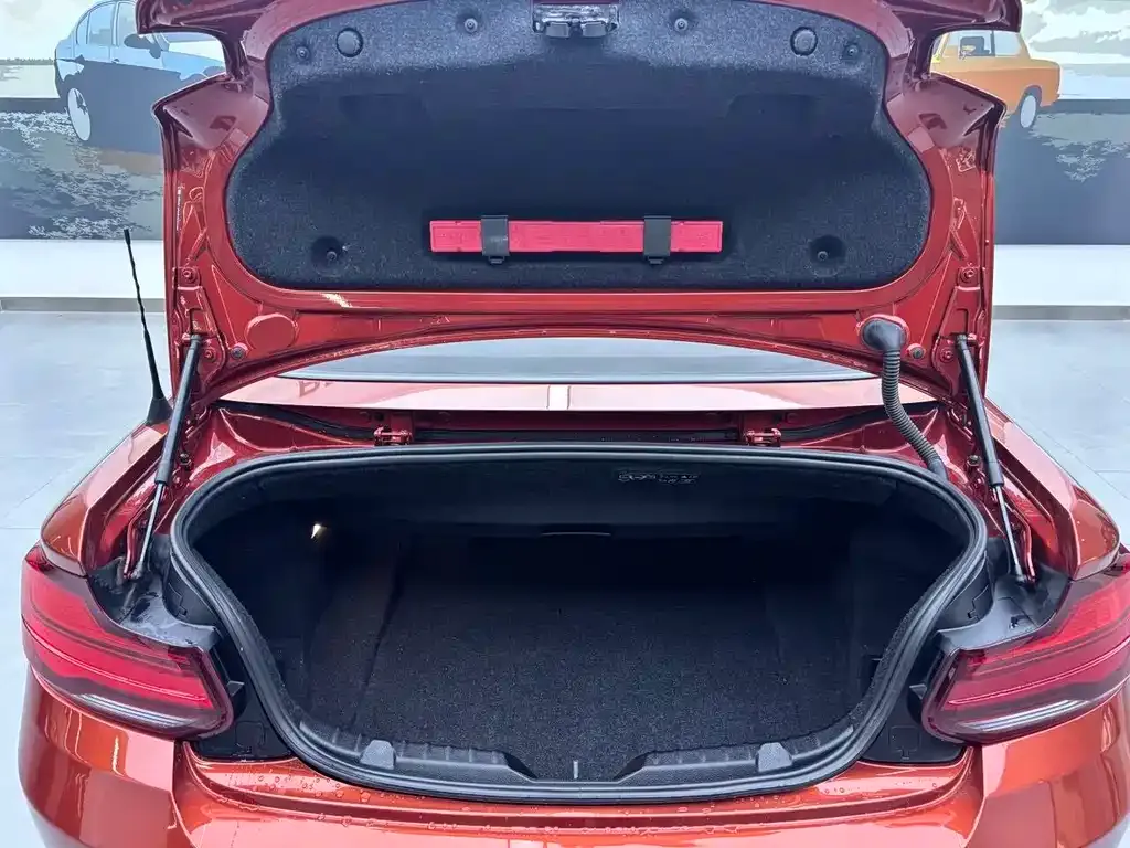 BMW 2 Series (Import) — фото 10