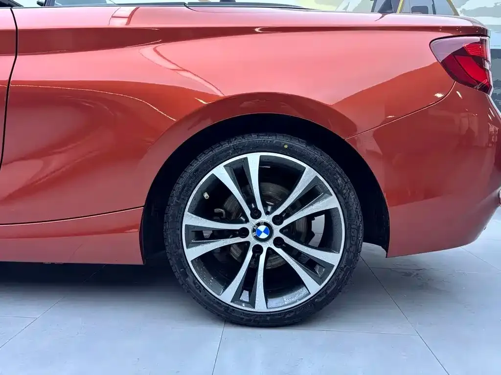 BMW 2 Series (Import) — фото 7