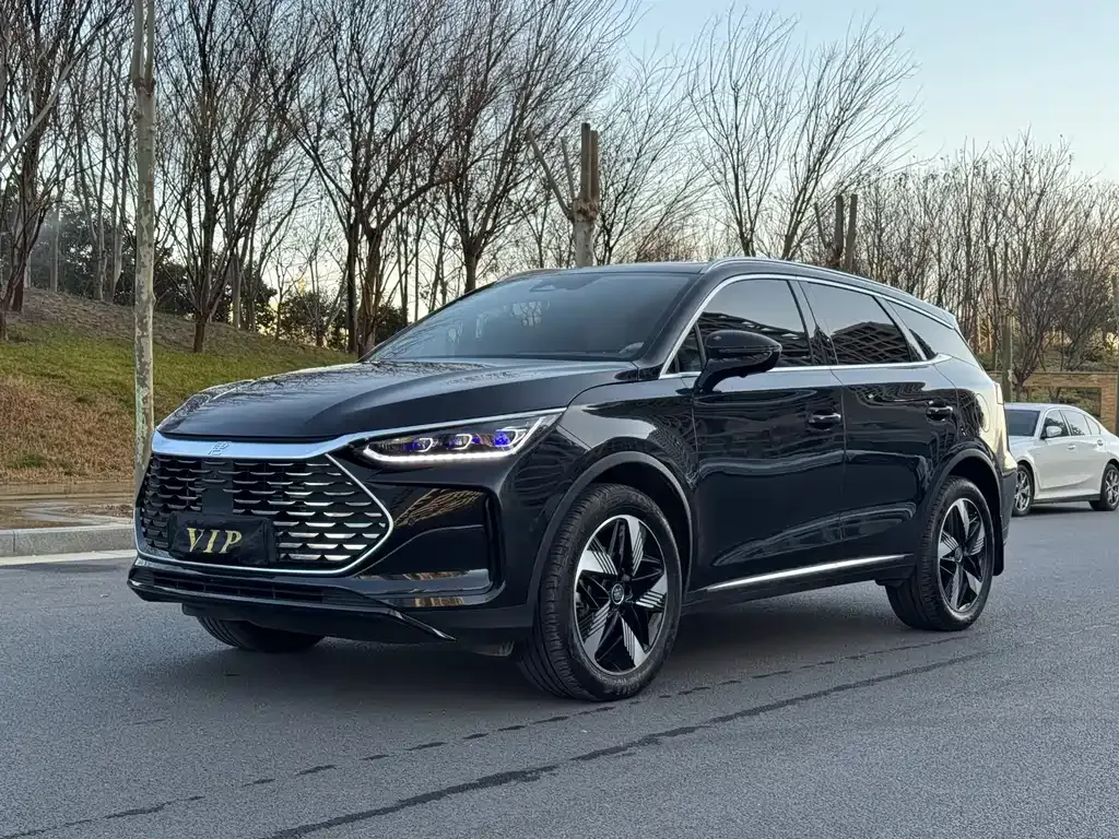 BYD Tang New Energy 2024 из CN, фото 1