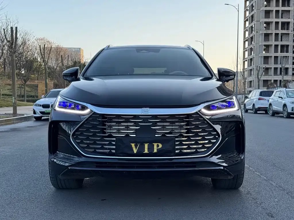BYD Tang New Energy 2024 из CN, фото 5