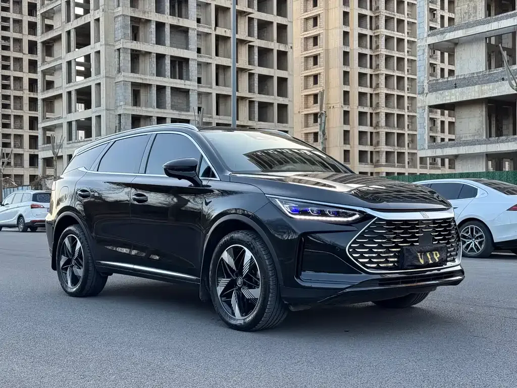 BYD Tang New Energy 2024 из CN, фото 10