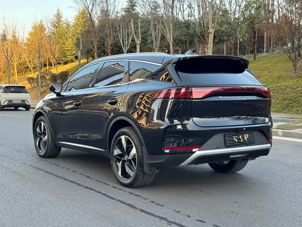 BYD Tang New Energy 2024 из CN, фото 9