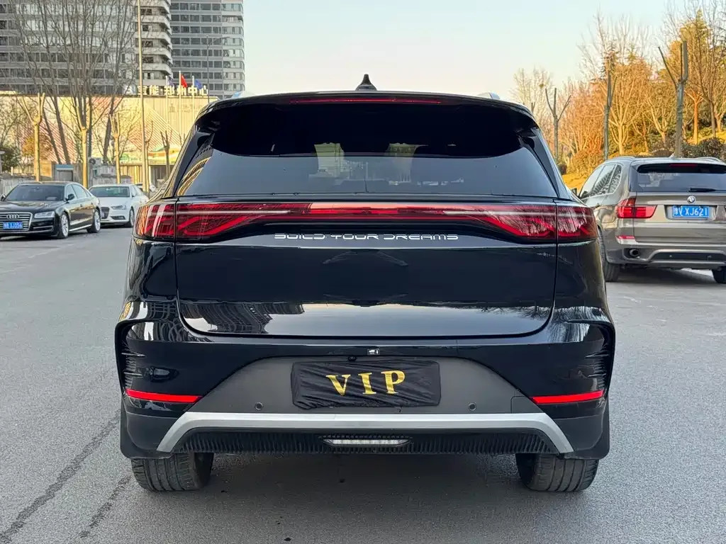 BYD Tang New Energy 2024 из CN, фото 4