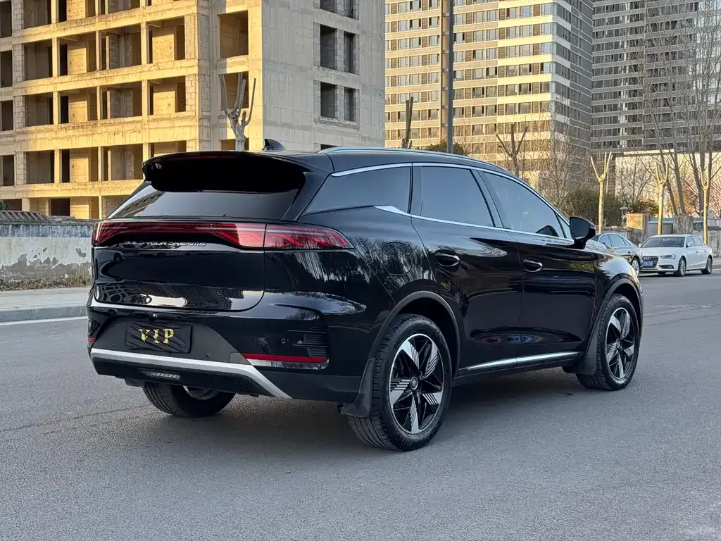 BYD Tang New Energy 2024 из CN, фото 3