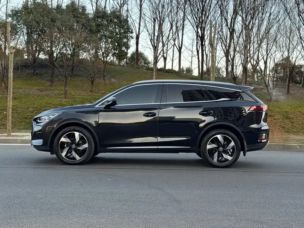 BYD Tang New Energy 2024 из CN, фото 6