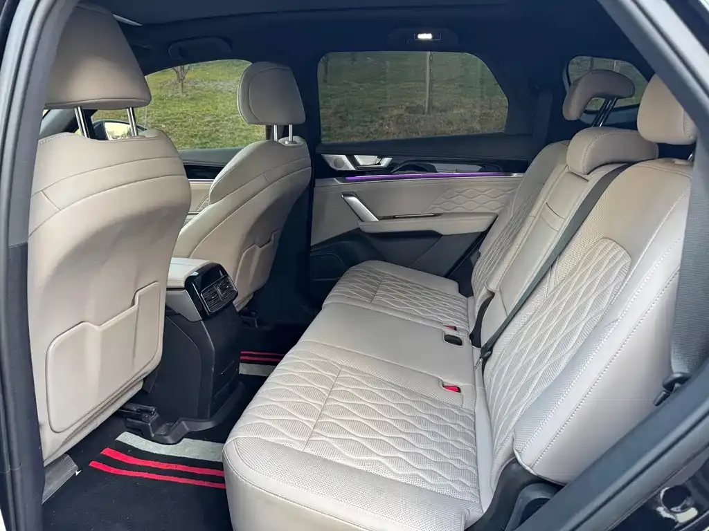 BYD Tang New Energy 2024 из CN, фото 2