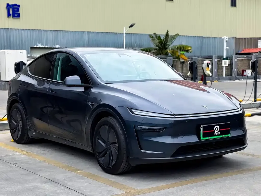 Tesla Model Y 2025 из CN, фото 8