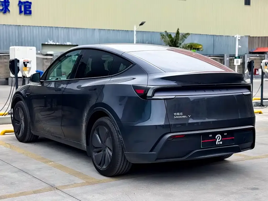 Tesla Model Y 2025 из CN, фото 4