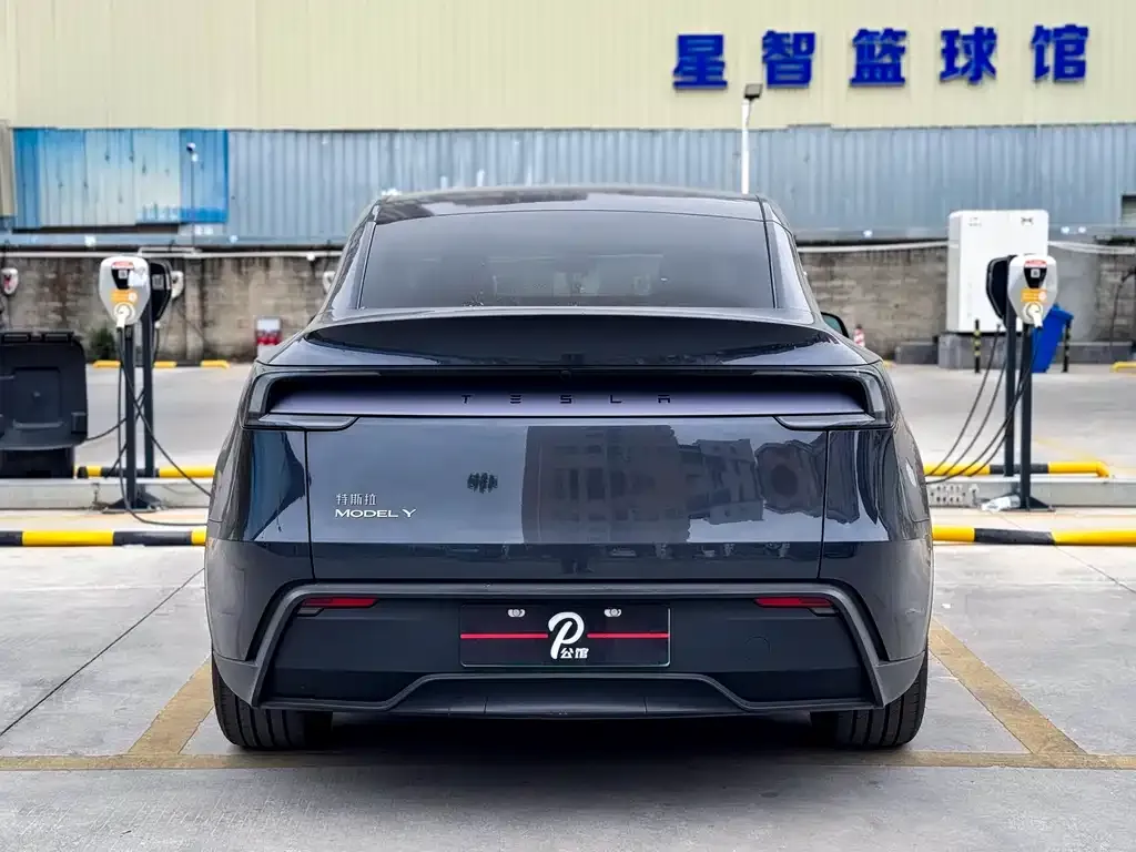 Tesla Model Y 2025 из CN, фото 9