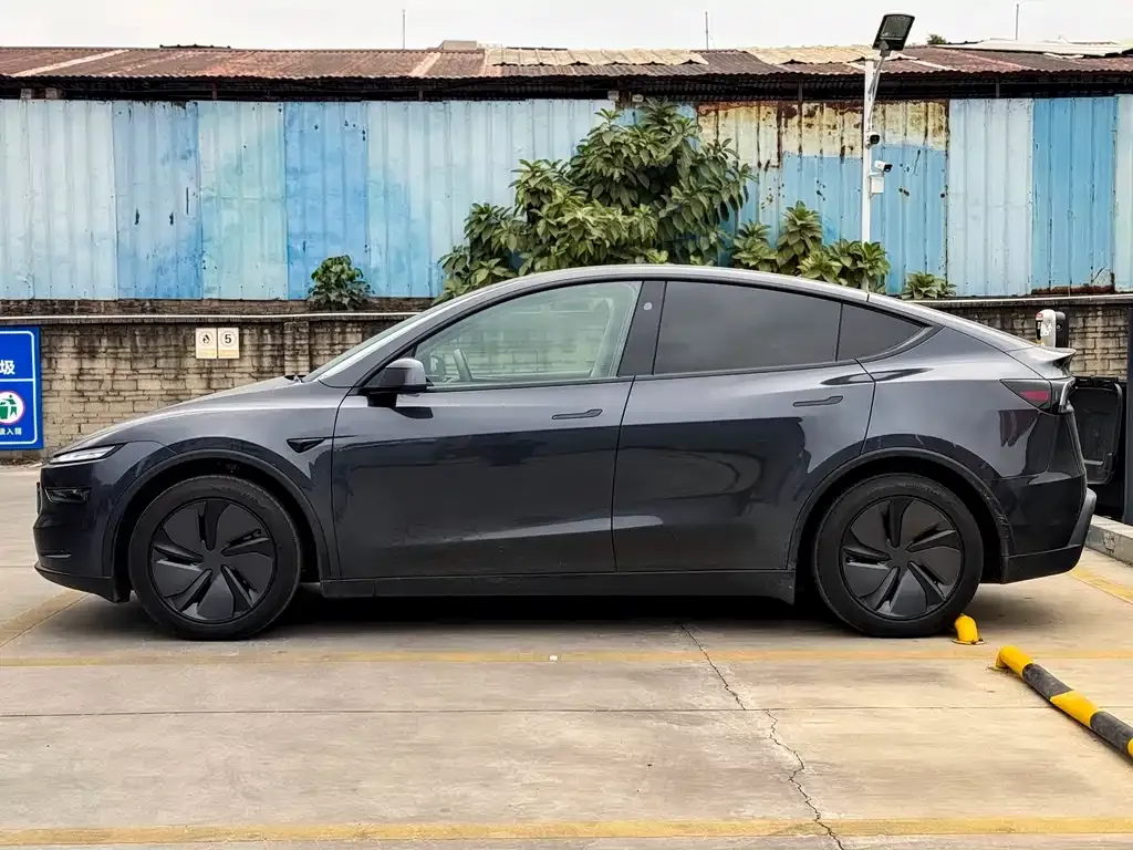 Tesla Model Y 2025 из CN, фото 7