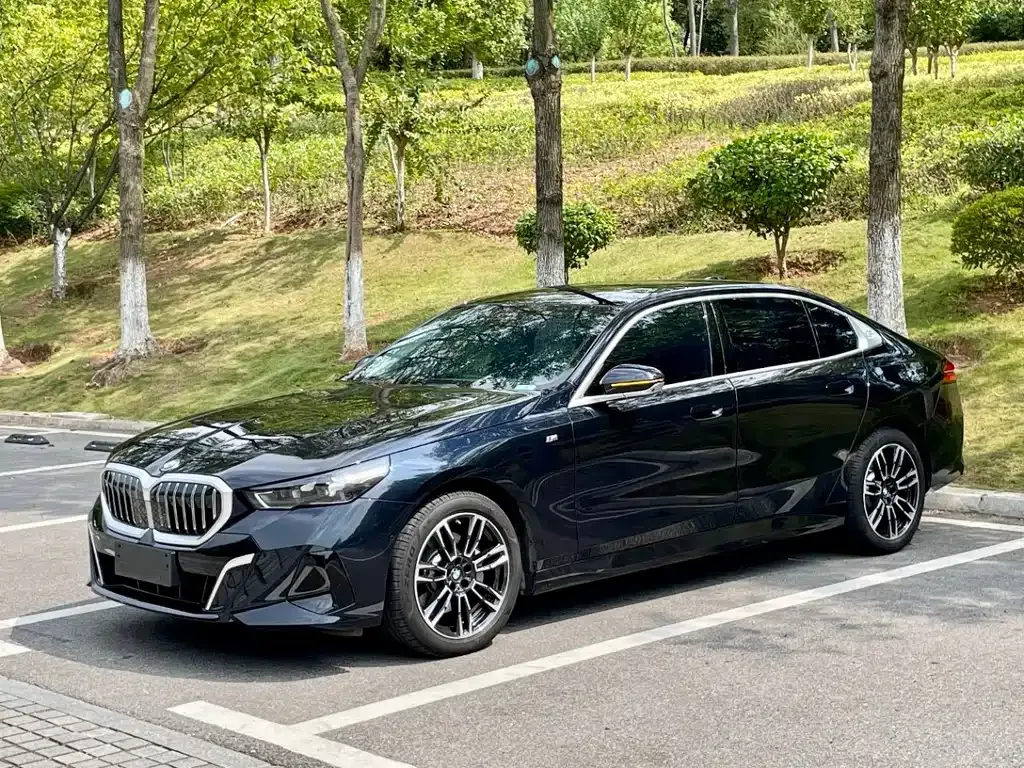BMW 5 Series 2025 из CN, фото 1