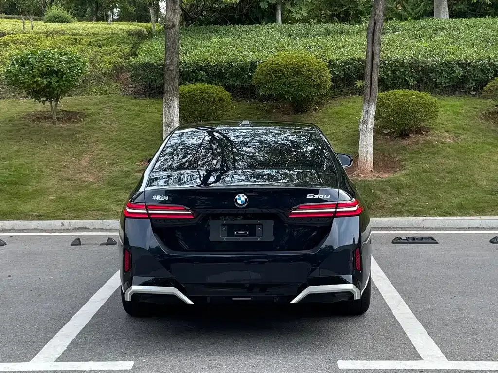 BMW 5 Series 2025 из CN, фото 7