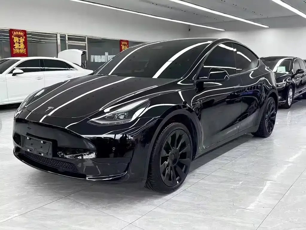 Tesla Model Y 2021 из CN, фото 1